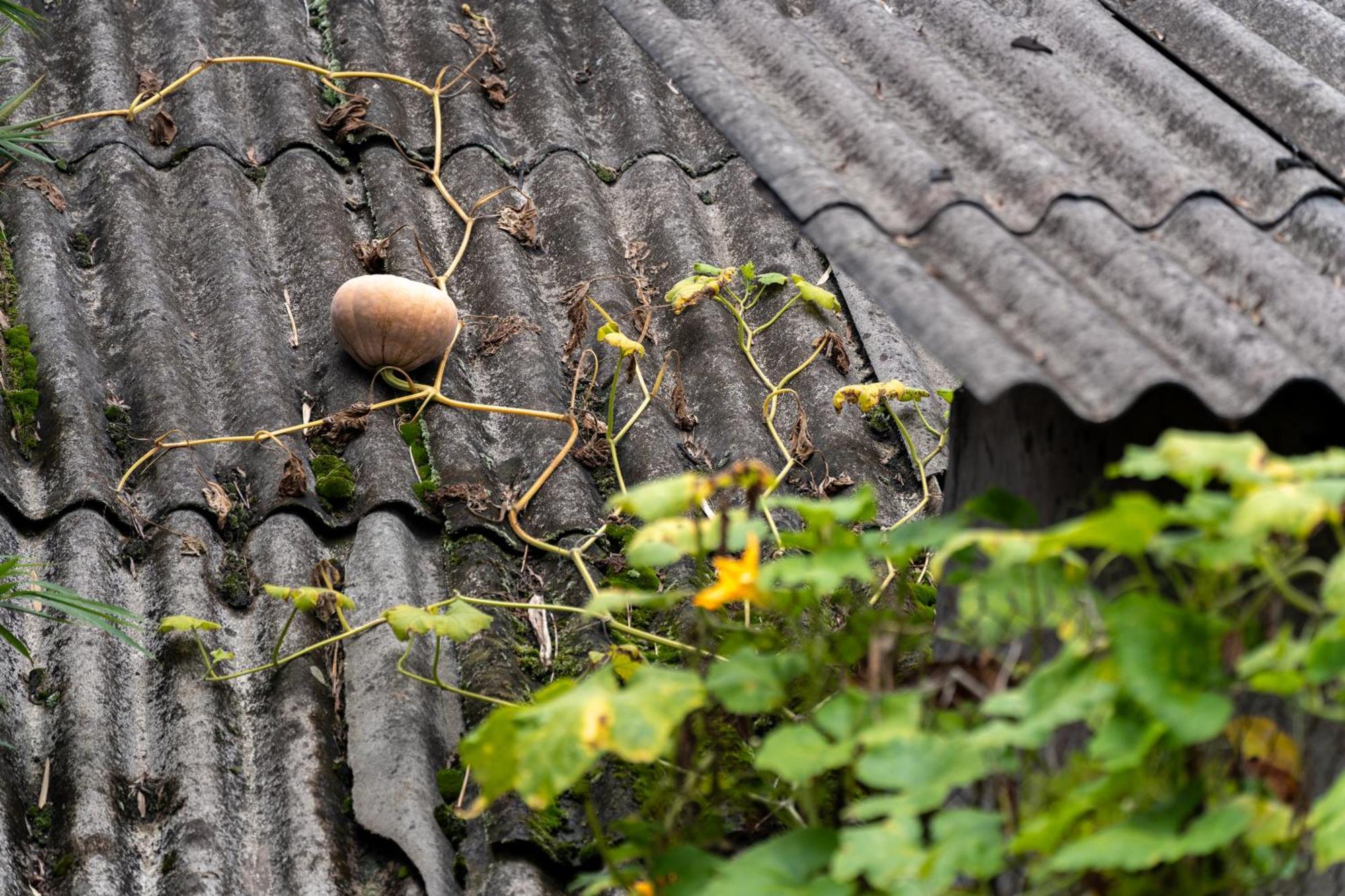 De Yang House Sa Pa Apartment Bagian luar foto